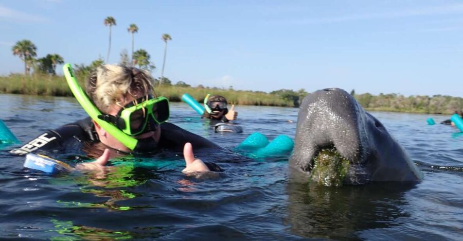 Crystal River: VIP Manatee Swim w/ In-water Photographer - Value and Price Consideration