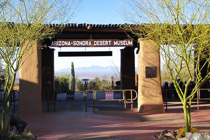 Custom Tucson Day Tour from Phoenix - Who Should Consider This Tour?