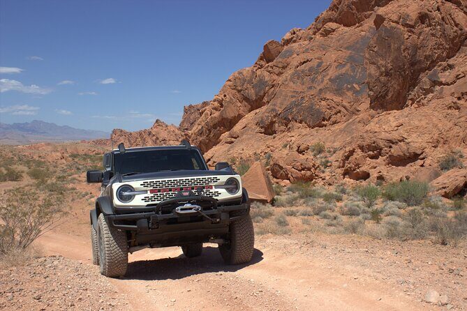 Dark Skies Stargazing Adventure with Luxury Bronco Rental - Practical Considerations & Insights