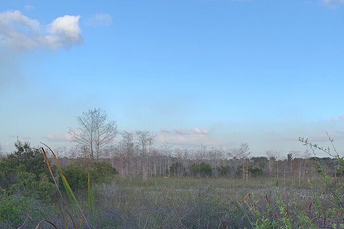Dark Sky's in the Florida Everglades - Final Thoughts: Is It Worth It?