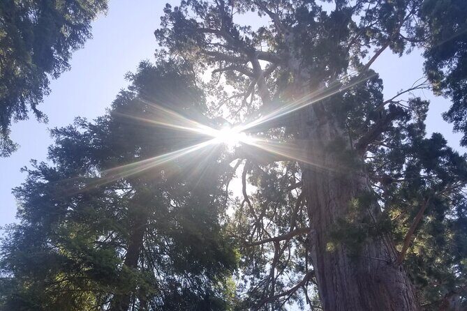 Day Tour to Kings Canyon National Park - Final Thoughts