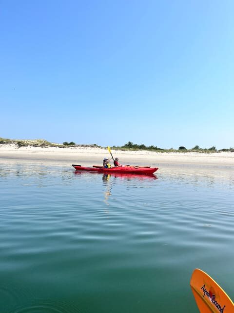 Day Trip from Boston: Guided Kayak at the Crane Estate - Who Should Consider This Tour?