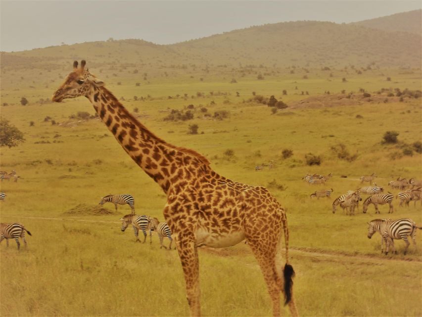 Day trip to Hells gate and Lake Naivasha - The Practical Aspects