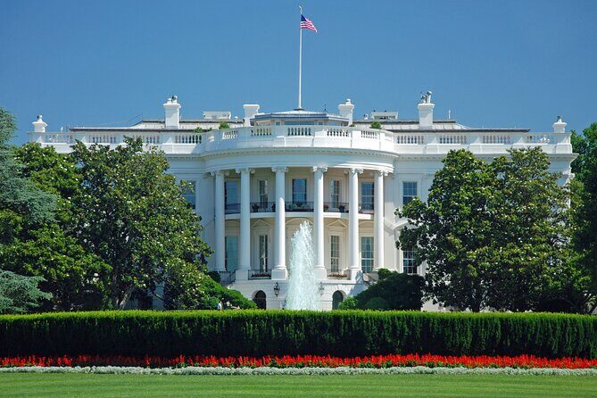 DC City Tour + Washington Monument, Air & Space, African American - Walking and Riding Balance