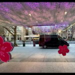 DC:Small Group Sunset Tour . - Important Details & Practical Tips