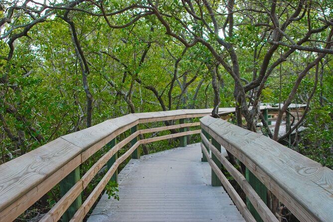 De Soto National Memorial Nature Walk Eco Tour - The Value of This Eco Tour
