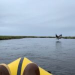 Deep Creek 1/2 Day Packraft Tour - Who Would Love This Tour?