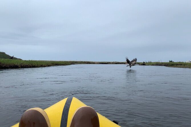 Deep Creek 1/2 Day Packraft Tour - Who Would Love This Tour?