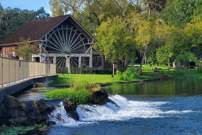 DeLeon Springs River Boat Tour - Practical tips for your trip