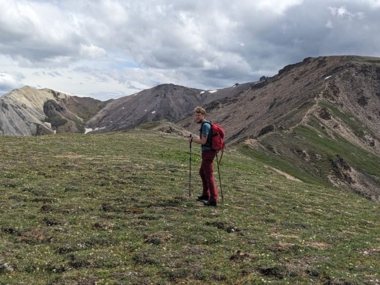 Denali: 5 Hour Guided Into The Mountains Hiking Tour - The Itinerary Breakdown