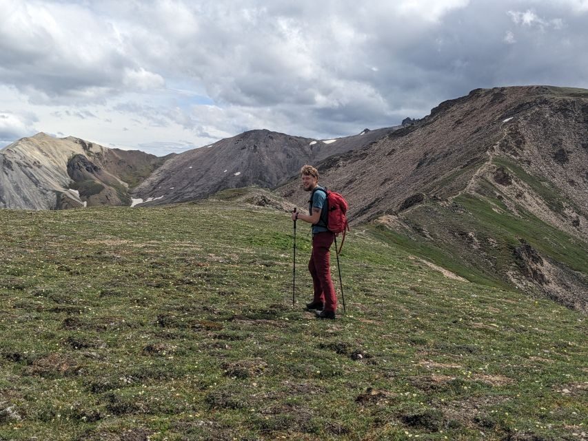 Denali: 5 Hour Guided Into The Mountains Hiking Tour - The Itinerary Breakdown