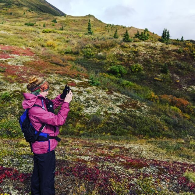 Denali: 5-Hour Guided Wilderness Hiking Tour - Who Will Love This Tour?