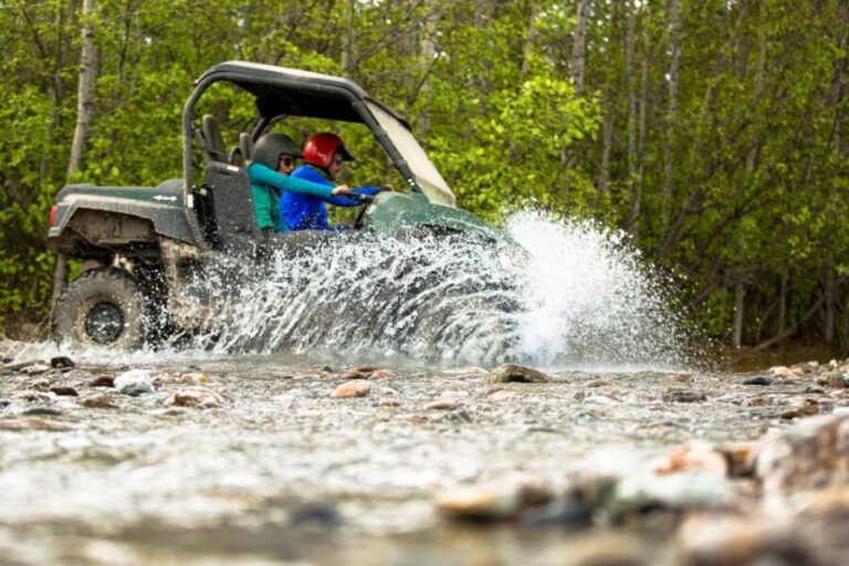 Denali: ATV Trailblazer Tour - Is This Tour Worth the Cost?
