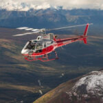 Denali National Park: Helicopter and Hike Adventure - Who Should Consider This Tour?