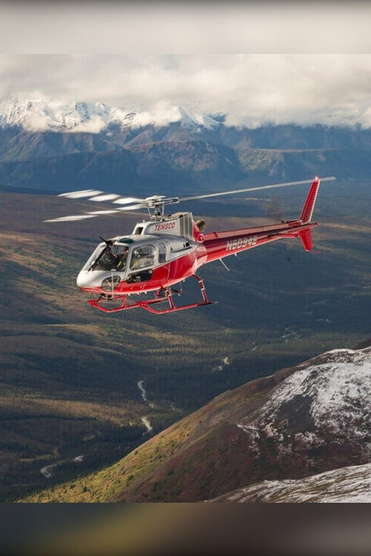 Denali National Park: Helicopter and Hike Adventure - Who Should Consider This Tour?