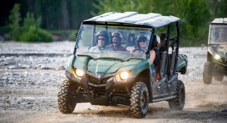 Denali National Park: Wilderness ATV Adventure - What We Think About the Value