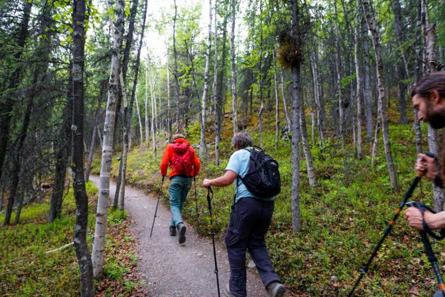 Denali: Naturalist Walking Tour in Denali National Park - What Makes This Tour Stand Out?