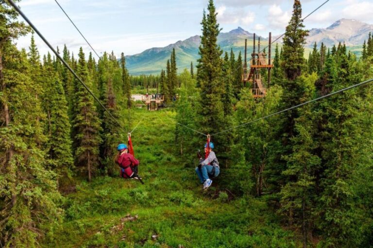 Denali Park Zipline Adventure - The Safety and Comfort of the Experience