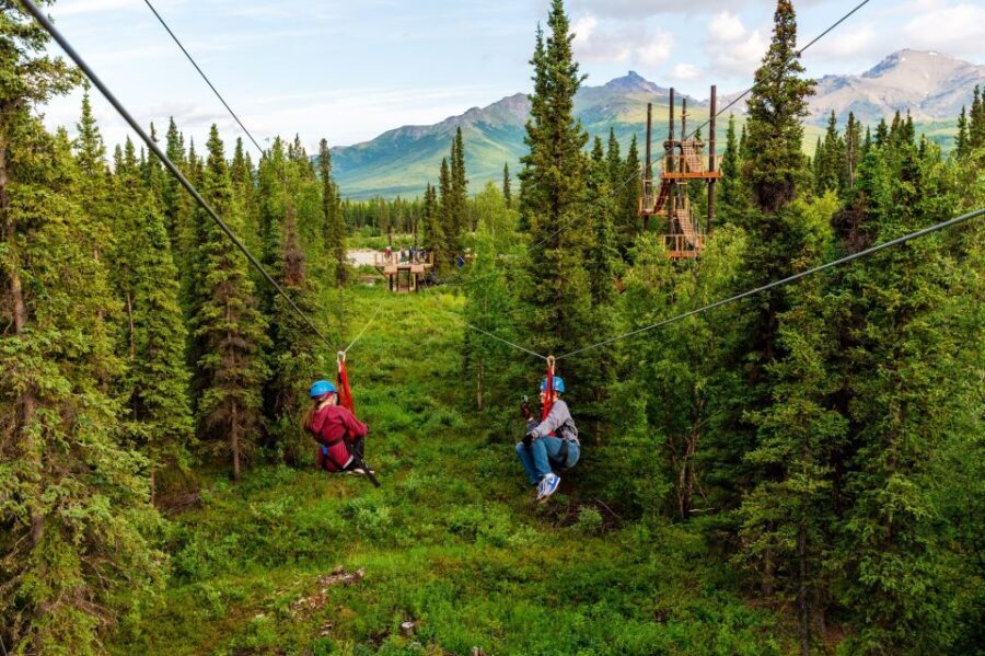 Denali Park Zipline Adventure - The Safety and Comfort of the Experience