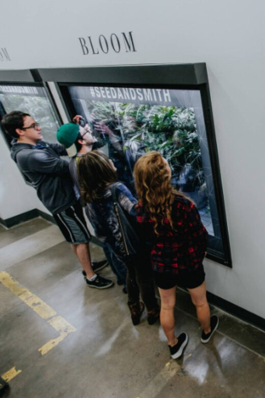 Denver: Buds & Brews Cannabis Grow Tour and Brewery Visit - What Makes This Tour Worth It?