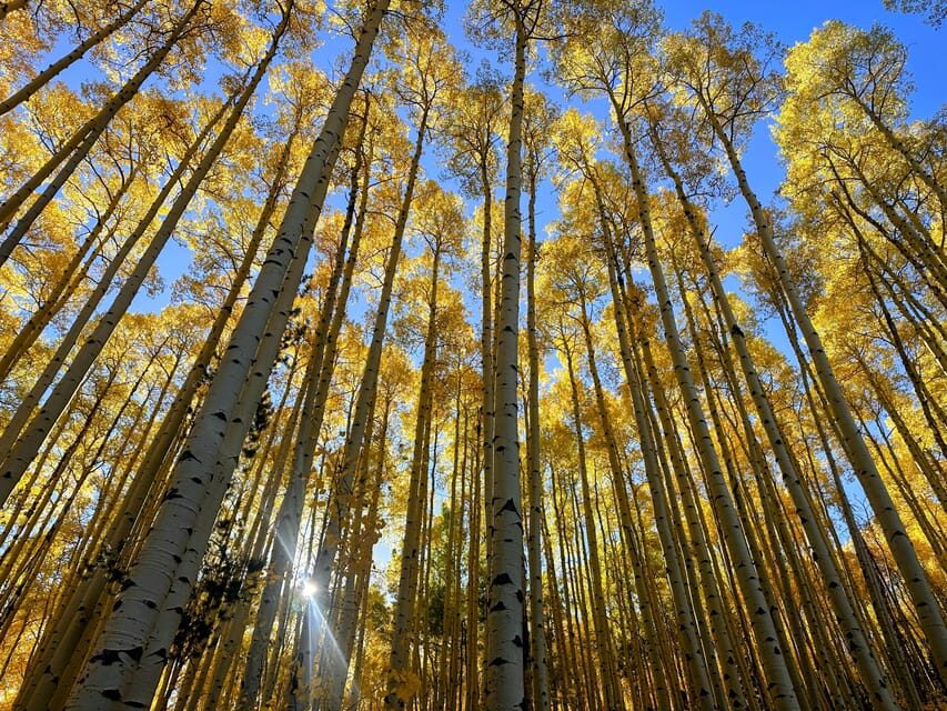 Denver: Guided Hiking Tour & Mountain Town Exploration - Final Thoughts