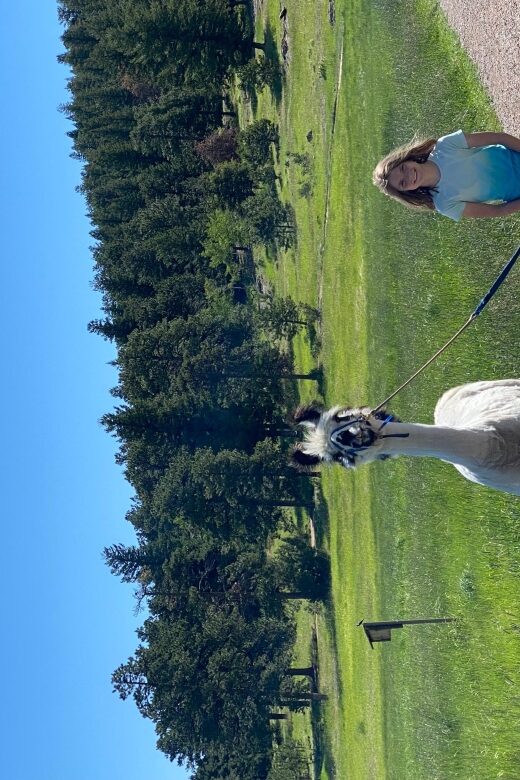 Denver: Llama Hike in the Rocky Mountains - An In-Depth Look at the Llama Hike Experience
