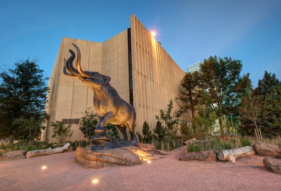 Denver: Museum of Nature and Science Entry Ticket - Who Should Visit?
