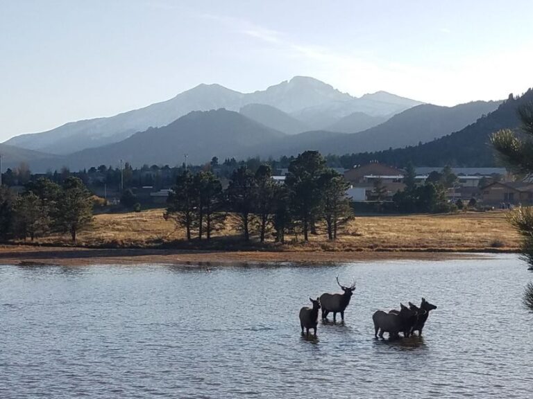 Denver: Rocky Mountain National Park Tour with Picnic Lunch - Analyzing the Value