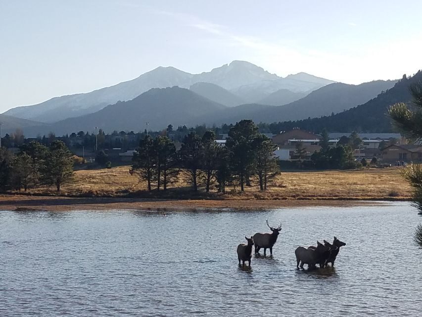 Denver: Rocky Mountain National Park Tour with Picnic Lunch - Analyzing the Value