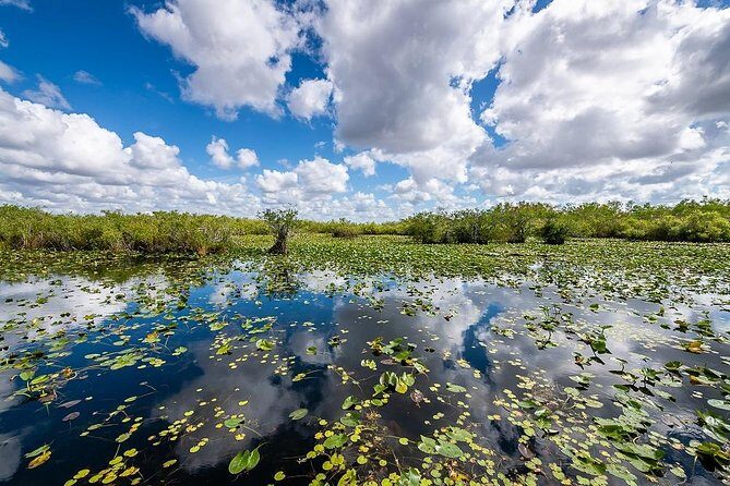 Depart from Miami to discover the Everglades with Airboat tour included! - What Youll Actually Experience