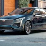 Departure Private Transfer: Hollywood Beach to Airport FLL in Business Car - Why This Transfer Works for You