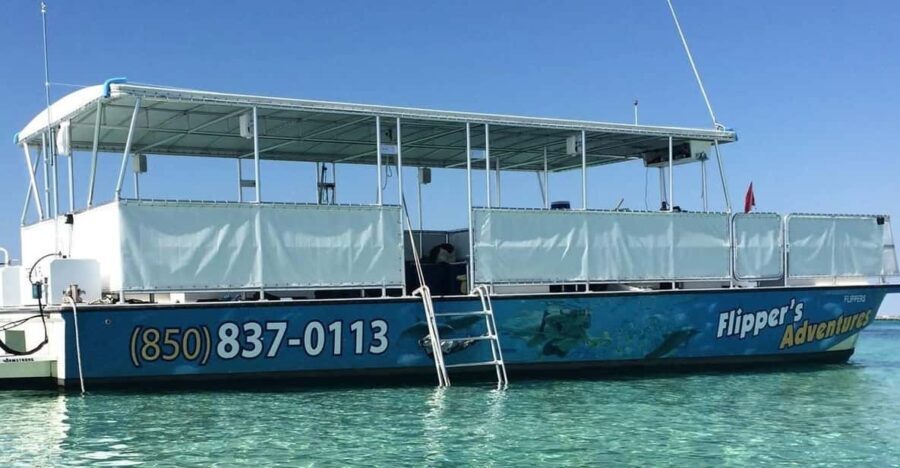 Destin: Crab Island Catamaran Tour with Dolphin Watching - The Experience in Detail