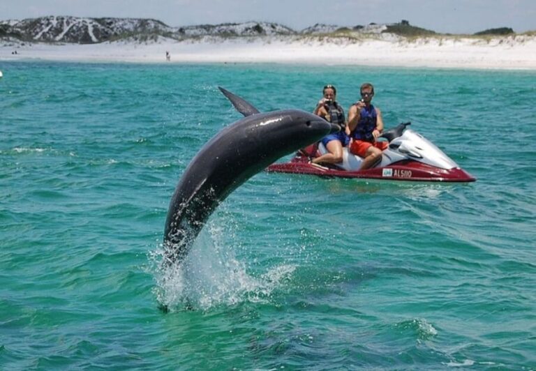Destin: Crab Island Dolphin Watching Jet Ski Tour - Is It Worth It?