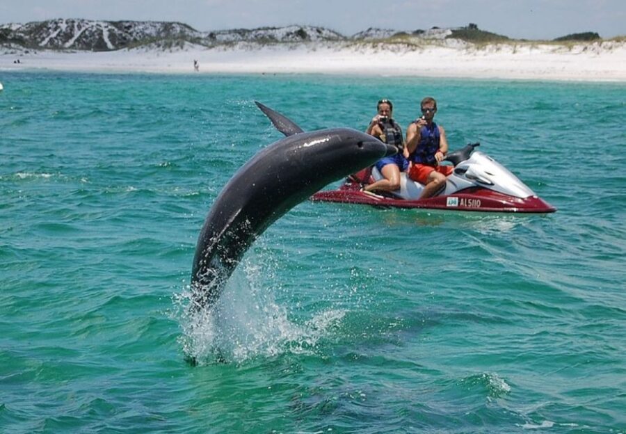 Destin: Crab Island Dolphin Watching Jet Ski Tour - Is It Worth It?