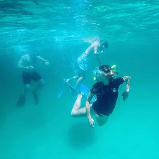 Destin: Snorkeling, Dolphins, and Crab Island - In-Depth Review of the Destin Snorkeling, Dolphins, and Crab Island Tour
