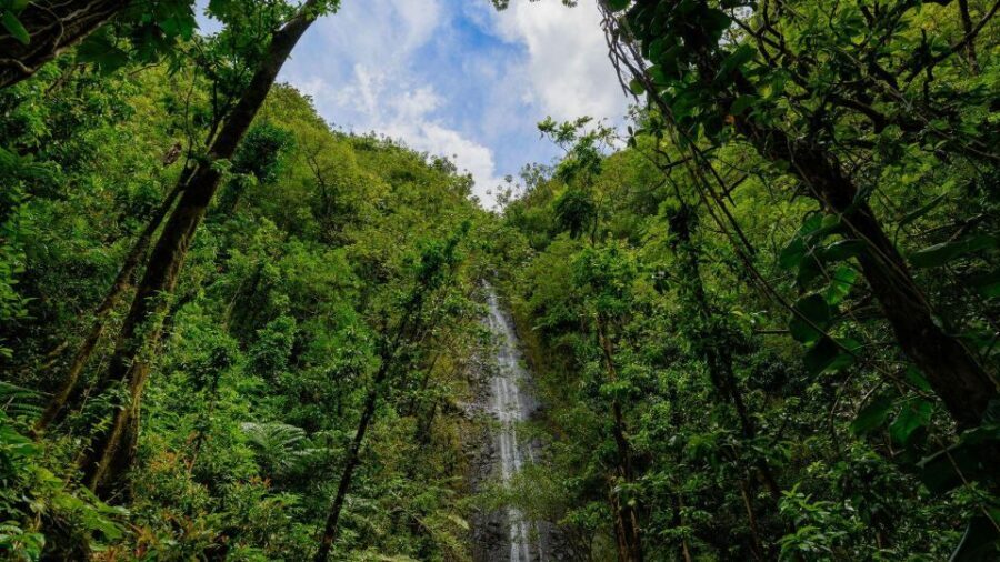 Diamond Head Manoa Falls - Frequently Asked Questions