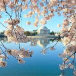 Discover DC Private Tour  (Up to 12 Guests) - Who Should Consider This Tour?