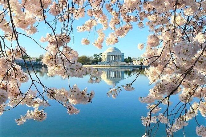 Discover DC Private Tour  (Up to 12 Guests) - Who Should Consider This Tour?