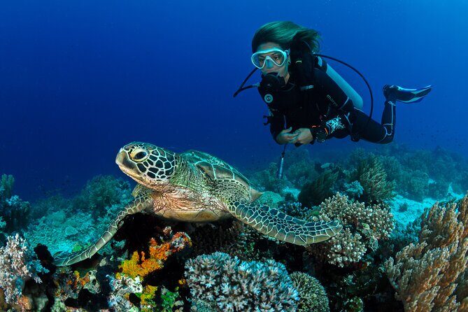 Discover Scuba Diving in Waikiki - Who Should Consider This Experience?