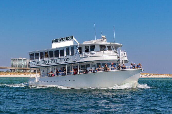Dolphin Cruise in Orange Beach Alabama - Practical Details: Comfort, Safety, and Accessibility