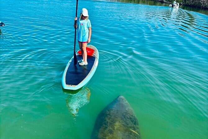 Dolphin, Manatee and Sea Turtle Adventure Tour of Bonita Springs - Who Should Book This Tour?