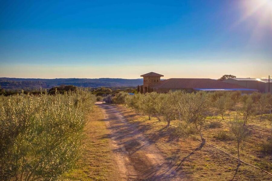 Dripping Springs: Olive Oil and Balsamic Vinegar Tasting - Why This Tour Works