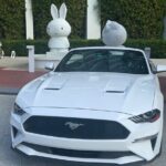 Drive a Mustang Convertible - Final Thoughts