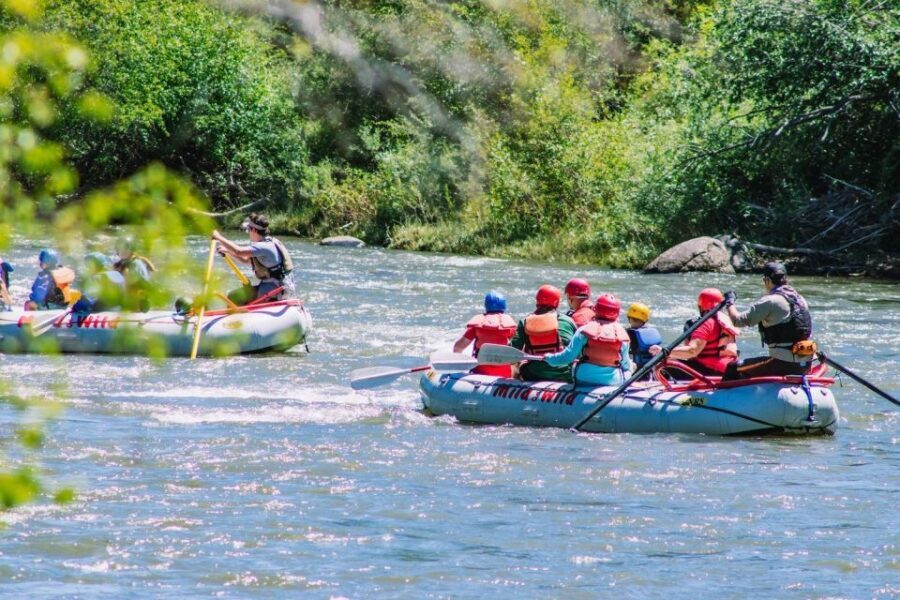 Durango 3/4 Day Rafting Trip with Lunch - Lower Animas River - The Shuttle and Scenic Commute