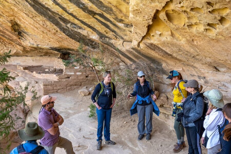 Durango Mesa Verde Express Tour With Tickets to Cliff Palace - A Deep Dive into the Mesa Verde Experience