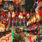 Dyker Heights - Brooklyn Christmas Houses Private Tour - Who Is This Tour Best For?