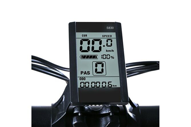 E-Bike Rentals in NYC - Why This E-Bike Rental Works for Different Travelers