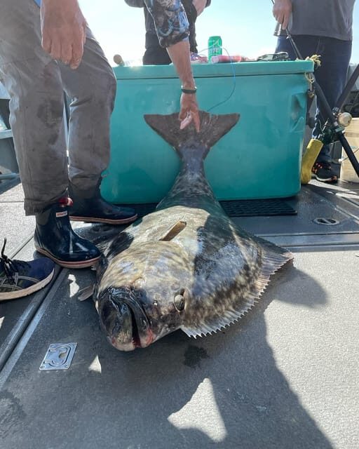 Ear Mountain Charters tours: whale watching and fishing - Detailed Itinerary Breakdown
