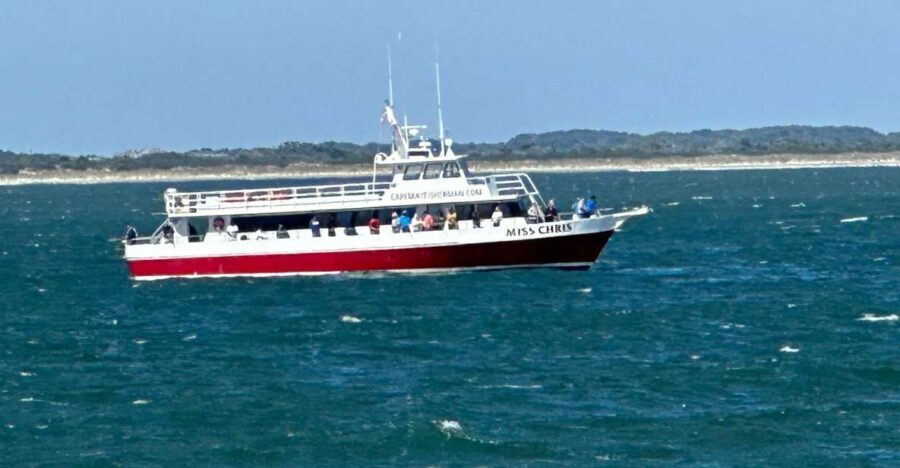 Early Bird Fishing - Why This Tour Offers Great Value