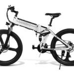 Electric Bike Rentals in New York - Insights from Reviews and Personal Accounts
